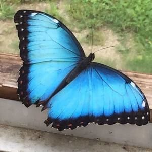 Meet your Posher, Terra